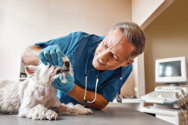 Best Emergency Broken Tooth Repair in Oconto, WI