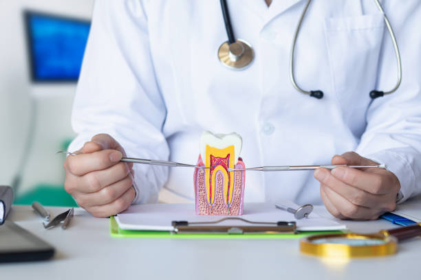Best After-Hours Emergency Dentist in Oconto, WI